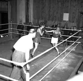 Skara. Boxning, Skara Teater 1950.