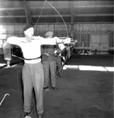 Skara. Bågskytte, uppvisning i SKLS Hallen 11/3 1951.