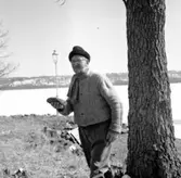 Skara. Idrott: GSIK vid SI-stugan 1955. Oskar Lefvander i varpa-tagen.

Foto: Stig Rehn 3.