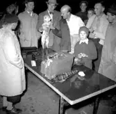 Skara. Idrott: Riksmarschen 1955.

Foto: Stig Rehn II.