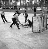 Bilden var införd i Skara Tidning den 14 jan 1954 med följande text:
