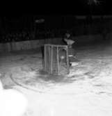 Skara. Ishockey 7/2 1954.