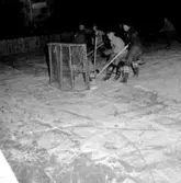 Skara. Idrott: Ishockey 21/1 1955.