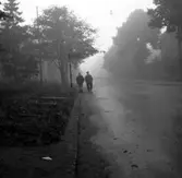 Skara. Axvallsgatan,  dimmig höstmorgon vid Botan 1951.