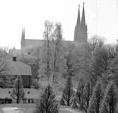 Skara. 
Domkyrkan från museet 1965.