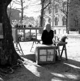 Skara. Krabbelund, 1950.

Grönsakstorget