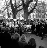 Skara. Krabbelund, studenten 1965.


Grönsakstorget