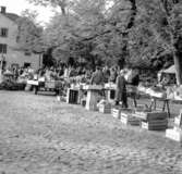 Skara. Krabbelund, Grönsakstorget 1966.