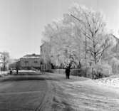 Skara. Marumsgatan 28/2 1963. Mannen till höger Rob. Hassel.