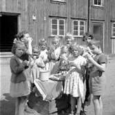 Skara. Hallbergs bakgård, Marumsgatan 4. Saftkalas.