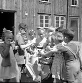 Skara. Hallbergs bakgård, Marumsgatan 4. Saftkalas.