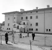 Med Daga och Arne Hansson på Öland.

Solliden, kungligt sommarresidens. Sollidens huvudbyggnad ritades1903 av Torben Grut för dåvarande kronprinsessan Victoria. Den placerades i ett 