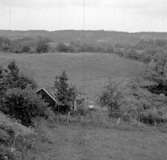 Sven Kristianssons hus i Öglunda sommaren 1964.