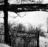 Sven Kristianssons villa i Öglunda vintern 1964.