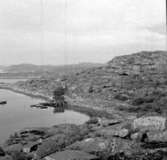 Familjen Olle Sahlström på kusten, Ulebergshamn 1965.