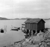 Familjen Olle Sahlström på kusten, Ulebergshamn 1965.