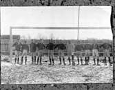 Skara SAIS Atleterna. (SKARA I F)1908.

Martin Karlsson 
Arvid Rönningberg
Erik Kjellén
Ragnar Johansson
Oskar Svan
Emil Bengtsson
O. Englund
Erik Bengtsson
Ernst Westerberg
Helge Johansson
Karl Rehn