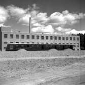 Skara. 
Mejeri under uppbyggnad 1951.