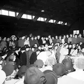 Skara. SKLS, föreningsdag 6/10 1952.

SKLS= Skaraborgs läns Slaktdjursförsäljnings Förening.