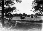 Floby kyrka sedd från källaren på Veken.