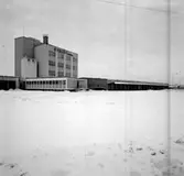 Skara. Svalöfbolaget 1961-1964.