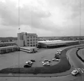 Skara. Svalöf från Axvallagatan 1960-talet.