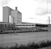 Skara. Svalöfbolaget 1964.