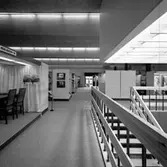 Skara. 
West-Expo 1968.