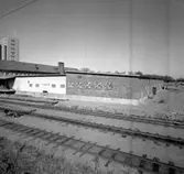 Skara. Västgöta Ägg 1962.