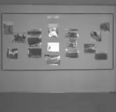 Skara. 
Skara fotoklubbs jubileums-utställning i f. d. Josef Johanssons bilförsäljnings lokaler. 4-11 november 1959. 
15-års jubileum.