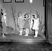 Skara. 
SGU-fest 8/4 1951.

SGU=Sveriges godtemlareungdom