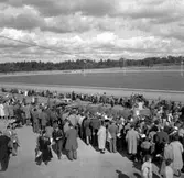 Lions Clubs International, internationell organisation med ändamål att idka välgörenhet och bidra till ökad förståelse mellan jordens folk. Lions grundades 1917 i Chicago och kom 1948 till Sverige och därmed till Europa. Organisationen omfattar 40Â 600 klubbar i 177 länder med 1,4 miljoner medlemmar (1993). http://www.ne.se/jsp/search/article.jsp?i_art_id=242696