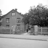 Hemma hos textilkonstnär Alice Sorenius.
Vid föräldrahemmet Malmgatan 4.
1960.