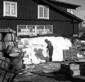 Göteborgs hamn. (1949?)