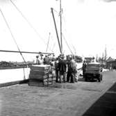 Göteborgs hamn. (1949?)