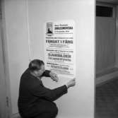Skara Fotoklubb.
15-årsjubileet 1956. Holger Johansson sätter upp utställningsaffischen.