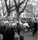 Krabbelund
Grönsakstorget