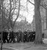KrabbelundGrönsakstorget