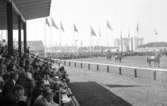 Axvallsutställningen hölls i samband med Lantbruksmötet i Axvall 1935.