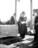 Invigningen med besök av kung Gustaf V den 20 juni 1910.