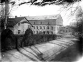 Tidaholmssamlingen.
Foto: Mivis eller Signe Lidwall.
Firman Ad. Lidwall etablerades 1862. Mivis Lidwall f.1856 och Adolf Lidwall drev den tillsammans med sin dotter Signe.
Plåten är skiktskadad.