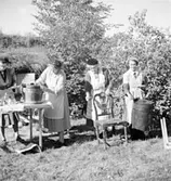 Fr.v:
Majken Andersson, Gertrud Andersson, Elin Johansson o Valborg Sundberg.