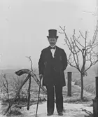 SANNOLIKT GUSTAF LÖNNERUDS MOSTER AUGUSTA.