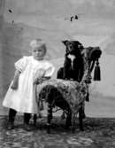 Ateljé.
Flicka med en liten hund på stol.
Fotograf: Ellen Kock? Axel Lundbäck m.fl.
Gullspångssamlingen.
Bilder från Gullspång med omnejd.