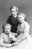 Gustaf Albert, Ida Fredrika och Louise Gustava Drakenberg.
Barn till Lovisa Teresia och godsägare Gert Drakenberg, Hagelstena i Alsike sn.