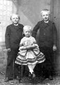 Waldemar, Herbert och Ruth Petersson. Ålene d. 7 sept. 1888