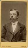 Johan Gustaf Lagerlöf
Handelsbokhållare o Tobaksfabrikör
Född 1854-04-05 i Mårbacka, Östra Ämtervik.
Flyttade 1890-05-02 till Amerika
Död 1912 i Seattle, Amerika
 
Gift 1886-12-18 med Eva Maria Natalia Rappe