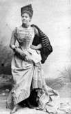 Fröken Anna H. Ch. Pettersson Norrie i Storhertiginnan på Vasateatern.

Norrie, Anna, f. Pettersson, 1860-1957, sångerska. N. gjorde tidigt succé som operettartist och blev genren trogen; ett ofta upprepat glansnummer var titelrollen i 