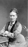 Sophie (Sofia) Zellander föddes 9 jan. 1842 i Åsaka samt dog 18 okt. 1878 i Laholm. 
Gift 9 nov. 1869 med handlande K. F. Zellander, som avled redan i april 1870 i Uddevalla.