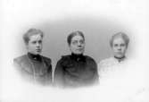Ingrid Nylander, Anna Nylander, Elsa Nylander.

Charlotte Hermanson, f. 1852, drev fotoateljé på Torggatan 47 i Skara under åren 1885-1916. Filial i Lundsbrunn.